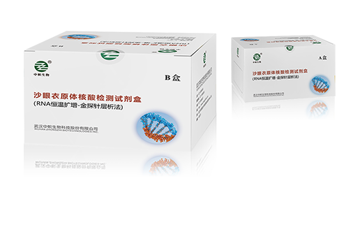 香港六马宝典资料大全