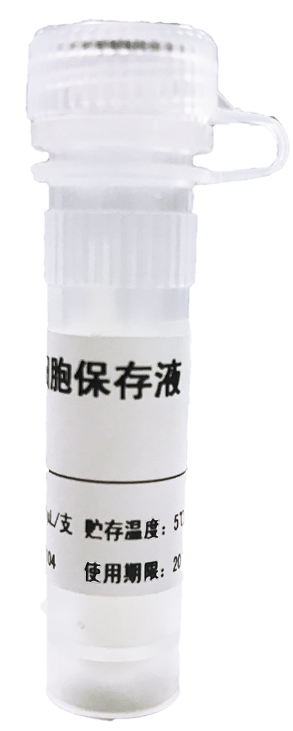 香港六马宝典资料大全